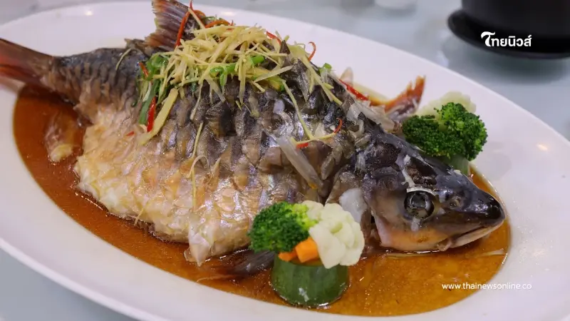 ดัน "ปลาพลวงชมพู" ดาวรุ่ง GI ตัวใหม่ยะลา ฟื้นเศรษฐกิจชายแดนใต้ ดัน "ปลาพลวงชมพู" ดาวรุ่ง GI ตัวใหม่ยะลา ฟื้นเศรษฐกิจชายแดนใต้