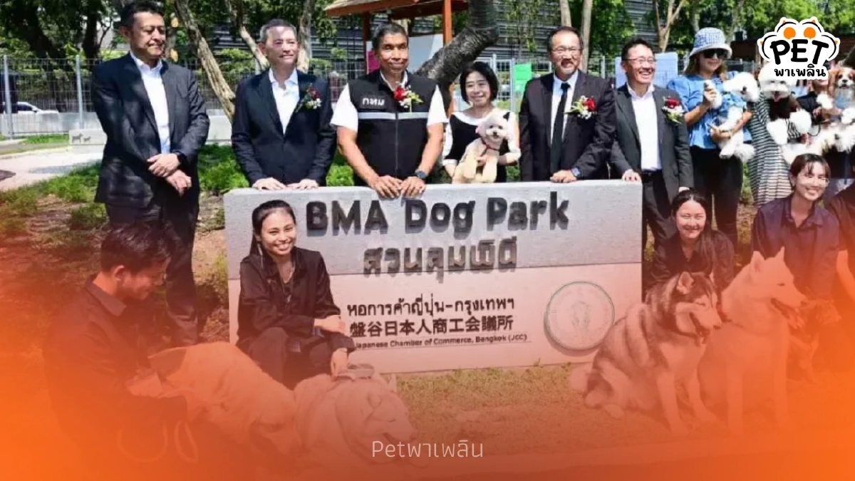 กทม. จับมือ JCC เปิดตัวสวนสุนัขลุมพินี พื้นที่พักผ่อนใจกลางเมือง