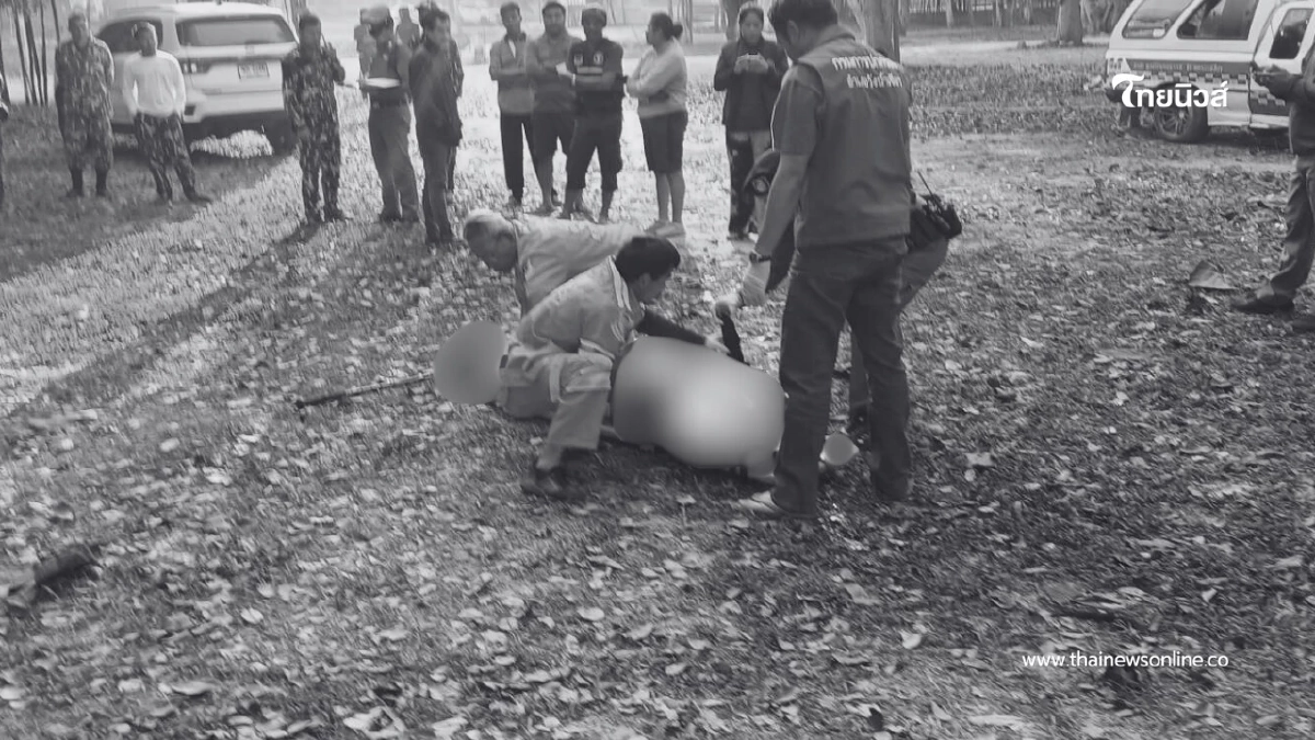 ช้างป่าเขาใหญ่ทำร้ายนักท่องเที่ยวเสียชีวิต ขณะออกกำลังกาย ช้างป่าเขาใหญ่ทำร้ายนักท่องเที่ยวเสียชีวิต ขณะออกกำลังกาย