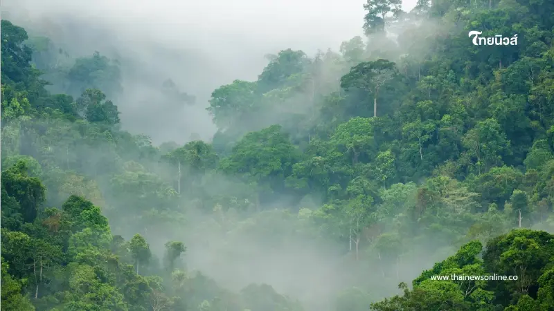 หนาวอีกระลอก! กรมอุตุฯ เตือนไทยตอนบนอุณหภูมิลด ลมแรง ฝนถล่ม