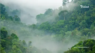 หนาวอีกระลอก! กรมอุตุฯ เตือนไทยตอนบนอุณหภูมิลด ลมแรง ฝนถล่ม หนาวอีกระลอก! กรมอุตุฯ เตือนไทยตอนบนอุณหภูมิลด ลมแรง ฝนถล่ม