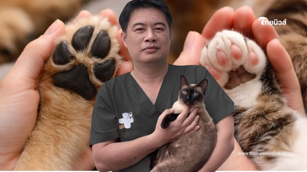 หมอเตือนตรงๆ 4 สัญญาณวาระสุดท้าย เจ้าของต้องรู้ ก่อนสัตว์กลับดาว