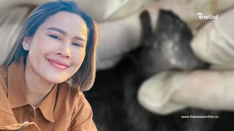 หนูเล็ก ก่อนบ่าย โวยร้านตัดขน ทำหมาสุดรักหูฉีกลึก 2 ซม.