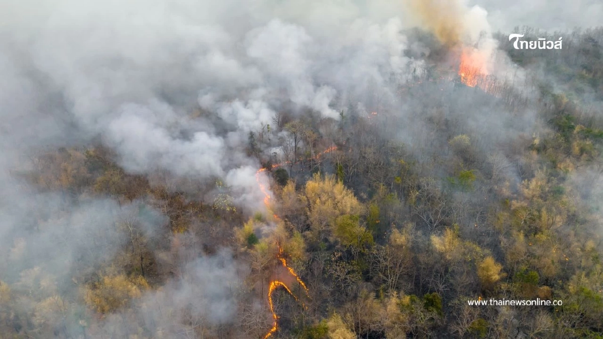 ไฟป่าปะทุใกล้ปราสาทคนา คาดเสียงดังคล้ายกระสุนจากวัตถุตกค้าง