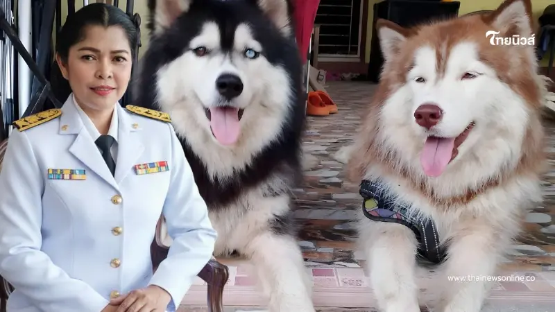 เจ้าของใหม่ เผยสาเหตุสำคัญ มอลลี่ หลุดออกจากบ้าน ก่อนเกิดเหตุสลด