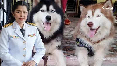เจ้าของใหม่ เผยสาเหตุสำคัญ มอลลี่ หลุดออกจากบ้าน ก่อนเกิดเหตุสลด
