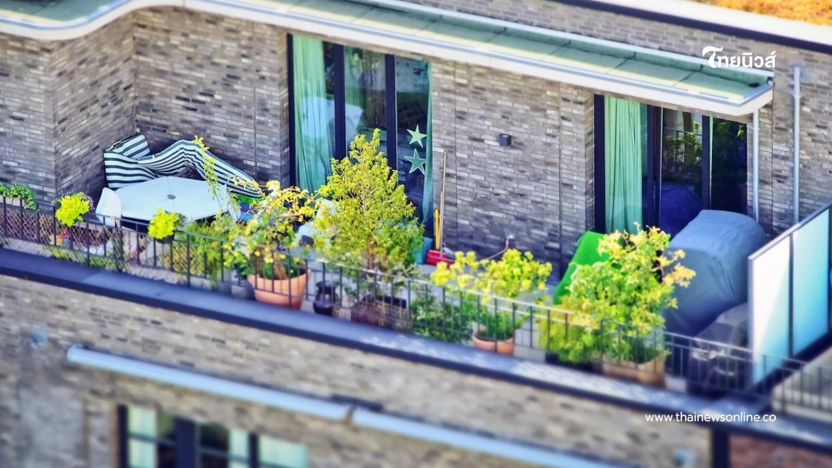 4 สิ่งไม่ควรวางบนระเบียง เสี่ยงนำ โชคร้าย มาโดยไม่รู้ตัว