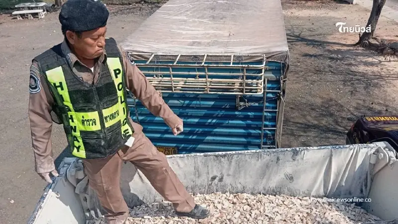 ตำรวจทางหลวงบุรีรัมย์จับรถพ่วง ลอบขนมันเส้นเกินโควตานำเข้า