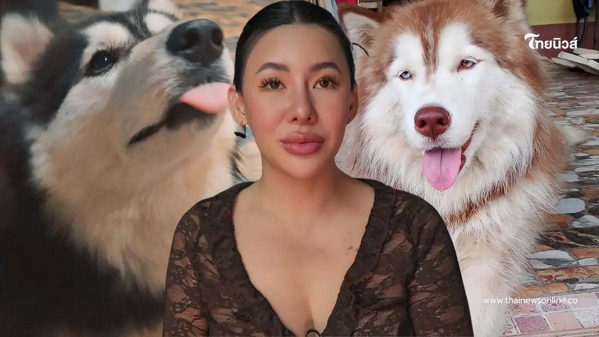 "เจ้าของเก่า" เผยสาเหตุแท้จริงต้องหาบ้านใหม่ ให้ มอลลี่-เบ็ตซี่ "เจ้าของเก่า" เผยสาเหตุแท้จริงต้องหาบ้านใหม่ ให้ มอลลี่-เบ็ตซี่