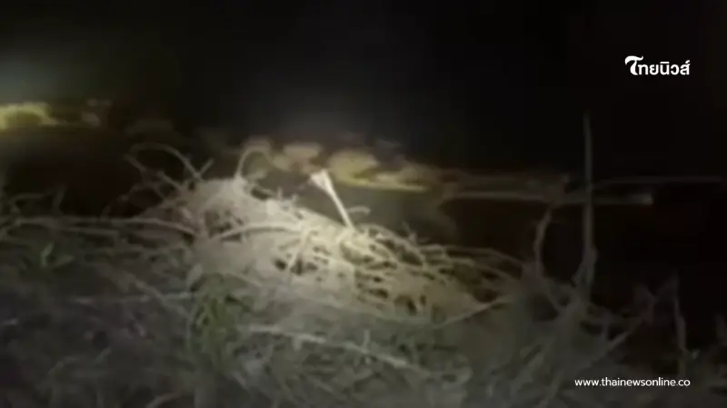 ฮือฮา พบสัตว์หายากคืนถิ่นไทย เจอในธรรมชาติครั้งแรก หลังเชื่อสูญพันธุ์