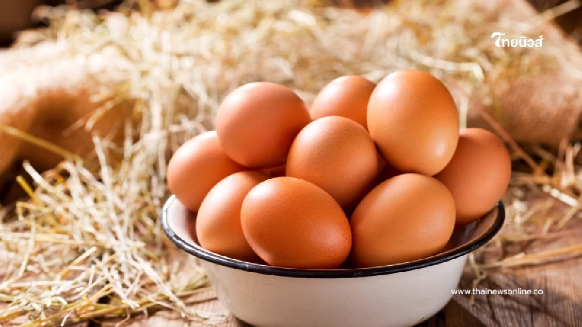 ไข่ใบนี้ “เก่า” หรือ “ใหม่” เช็กให้ชัวร์ใน 10 วินาที พร้อมทริคเก็บไข่ให้สดนานข้ามเดือน