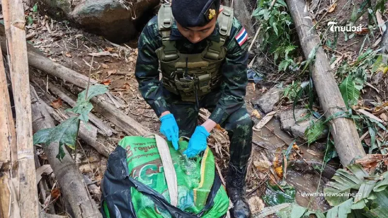 ผาเมืองปะทะเดือดขบวนการค้ายา ยึดไอซ์ 232 กก. กลางป่าแม่ฟ้าหลวง