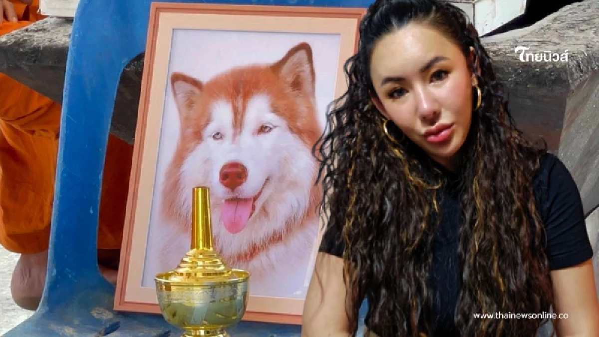 ไม่รอด อดีตเจ้าของ "น้องมอลลี่" เผยข่าวดีจับผู้ก่อเหตุได้แล้ว