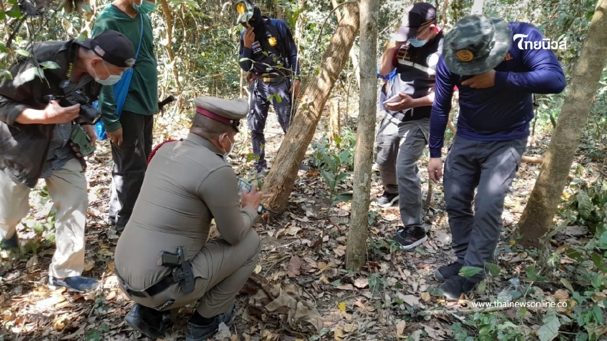 พบชายวัย 53 ปี เสียชีวิตในป่าดงลาน คาดฝีมือช้างป่าทำร้าย