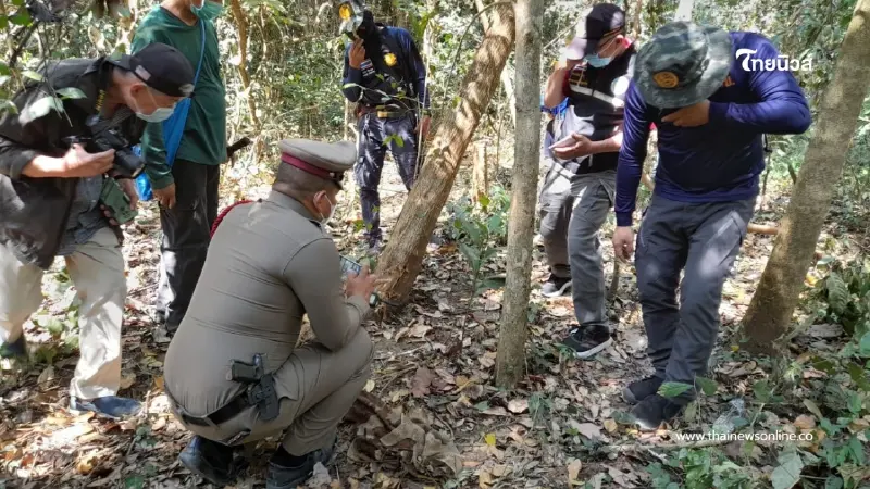 พบชายวัย 53 ปี เสียชีวิตในป่าดงลาน คาดฝีมือช้างป่าทำร้าย