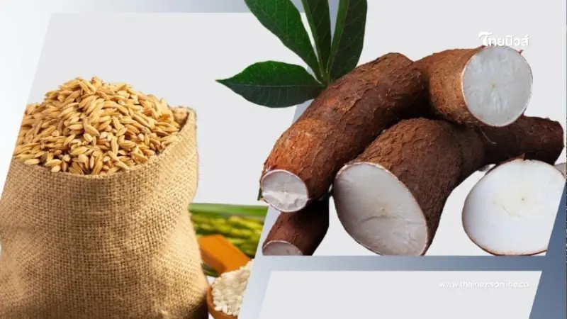 อัปเดตราคาสินค้าเกษตร 19 ก.พ. 2569 พืชเศรษฐกิจหลัก 4 รายการ