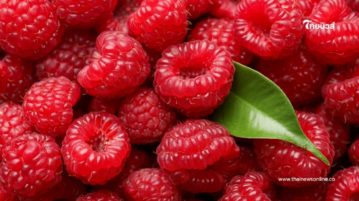 4 อาหารใกล้ตัว ช่วยชะลอวัย เติมความสดใสให้ร่างกาย สุขภาพดี