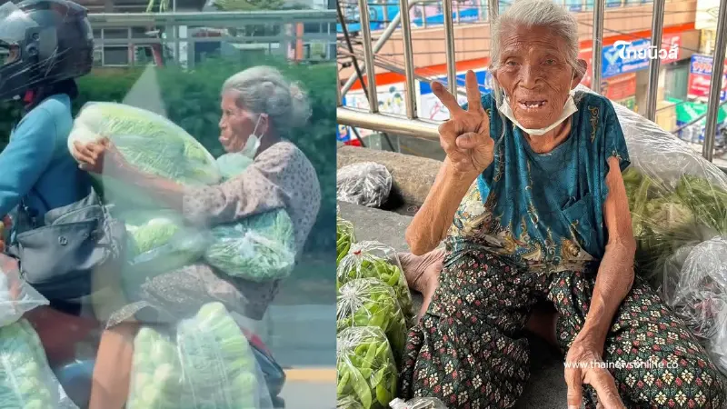 รู้แล้วอยู่ไหน เผยพิกัดคุณยายขนผักสู้ชีวิต หลังคลิปไวรัลสนั่น