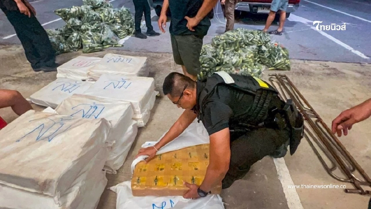 สกัดบิ๊กล็อต 10 ล้านเม็ด! ซุกใต้กองแตงกวา มูลค่ากว่า 500 ล้าน สกัดบิ๊กล็อต 10 ล้านเม็ด! ซุกใต้กองแตงกวา มูลค่ากว่า 500 ล้าน