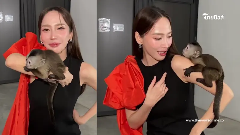 ซุปตาร์ยังตั้งหลักไม่ทัน “อั้ม พัชราภา” โดนลิงตัวน้อยเซอร์ไพรส์ ซุปตาร์ยังตั้งหลักไม่ทัน “อั้ม พัชราภา” โดนลิงตัวน้อยเซอร์ไพรส์