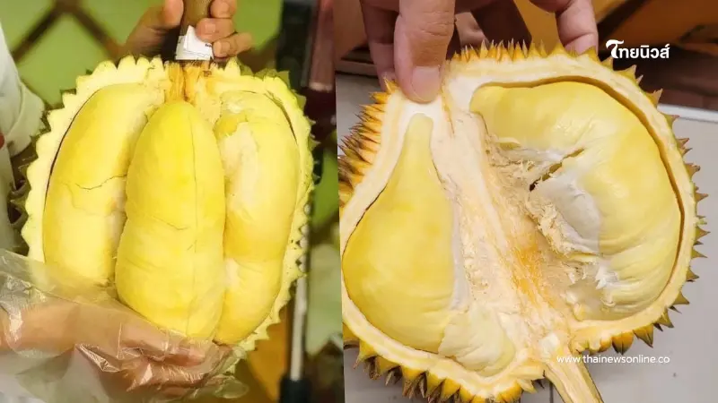 เปิดโผ 5 ทุเรียน GI ดาวรุ่งพุ่งแรง โกยรายได้กว่า 6.8 หมื่นล้าน