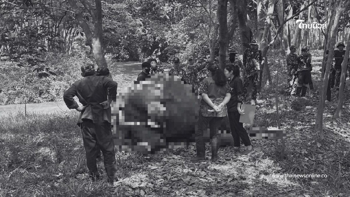 ขสป.ภูวัว เผยผลชันสูตรช้างป่าหนุ่ม พบความผิดปกติจากระบบภายใน