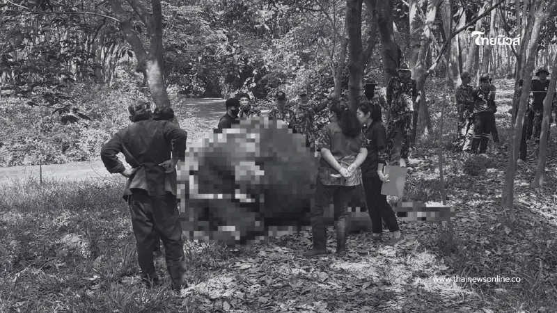 ขสป.ภูวัว เผยผลชันสูตรช้างป่าหนุ่ม พบความผิดปกติจากระบบภายใน