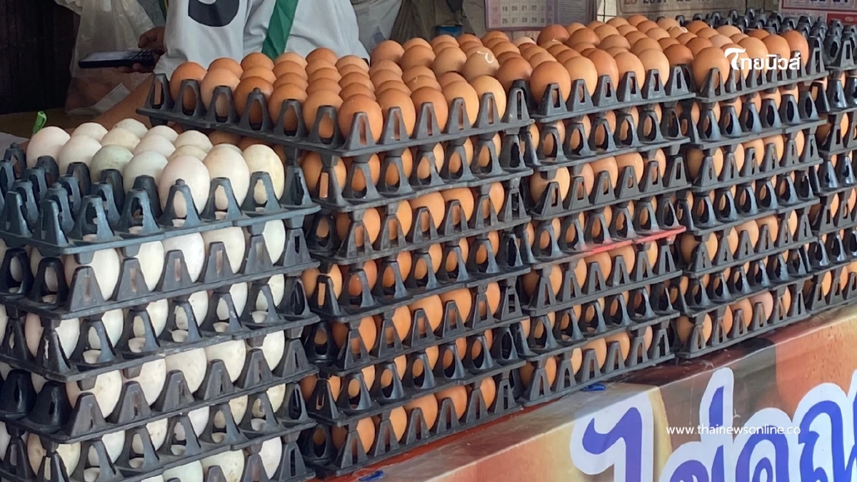 น้ำมันพ่นพิษ! ไข่ไก่นราฯ พุ่งไม่หยุด ชาวบ้านแห่ตุนรับเช็งเม้ง