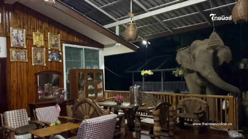 ช้างป่าย่องเบาพังประตูบุกครัว รื้อกินข้าวสารหมดโอ่ง ช้างป่าย่องเบาพังประตูบุกครัว รื้อกินข้าวสารหมดโอ่ง