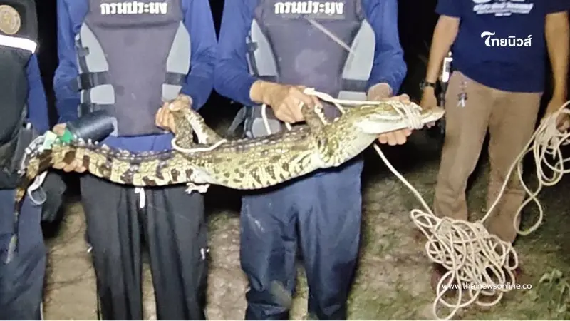 ยาย 69 คิดว่าตัวเงินตัวทอง คว้ากระบวยเคาะกบาลก่อนรู้ความจริง