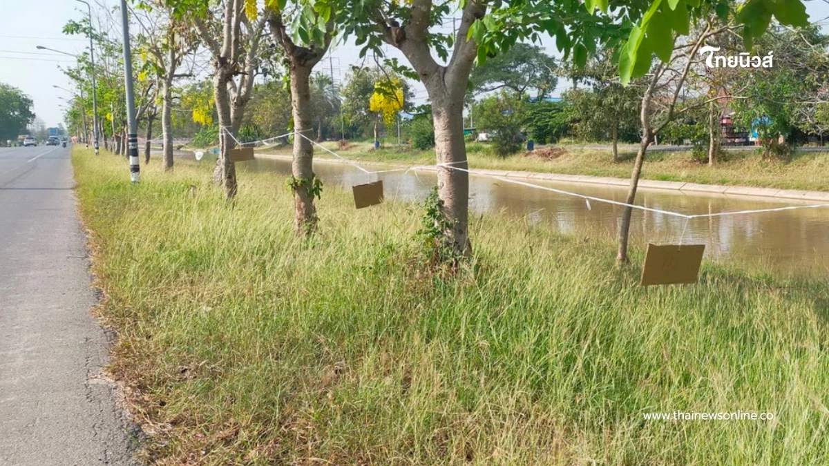 ชาวบ้านแห่ขึงเชือกจองที่ขายของถนนข้าวสุกรับสงกรานต์ปี 69