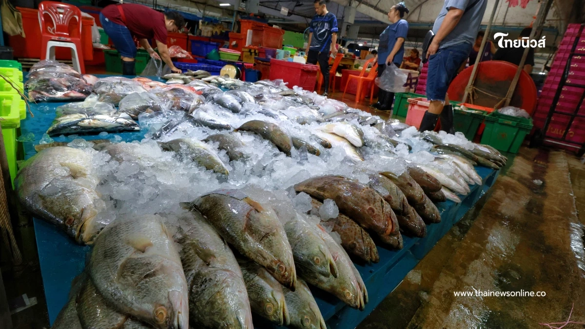 แพปลาโอดน้ำมันพุ่ง-ต้นทุนพุ่ง 30% วอนรัฐคุมราคาอุปกรณ์ด่วน