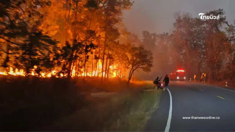 จนท.ดับไฟป่าลื่นตกดอยแขนหัก ขณะสกัดเพลิงคลั่งรอยต่อ 2 อำเภอ