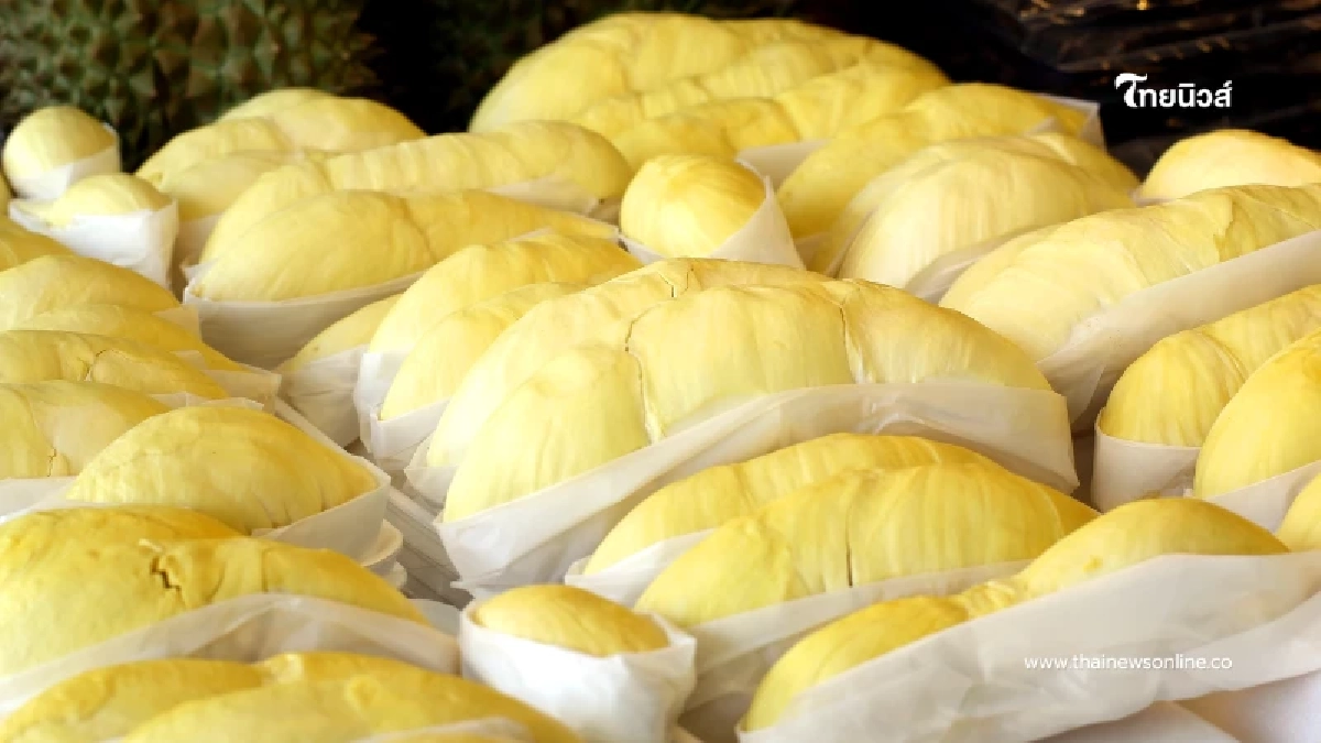 กินทุเรียนให้ปลอดภัย 5 เรื่องต้องระวัง ทานถูกวิธีดีต่อสุขภา