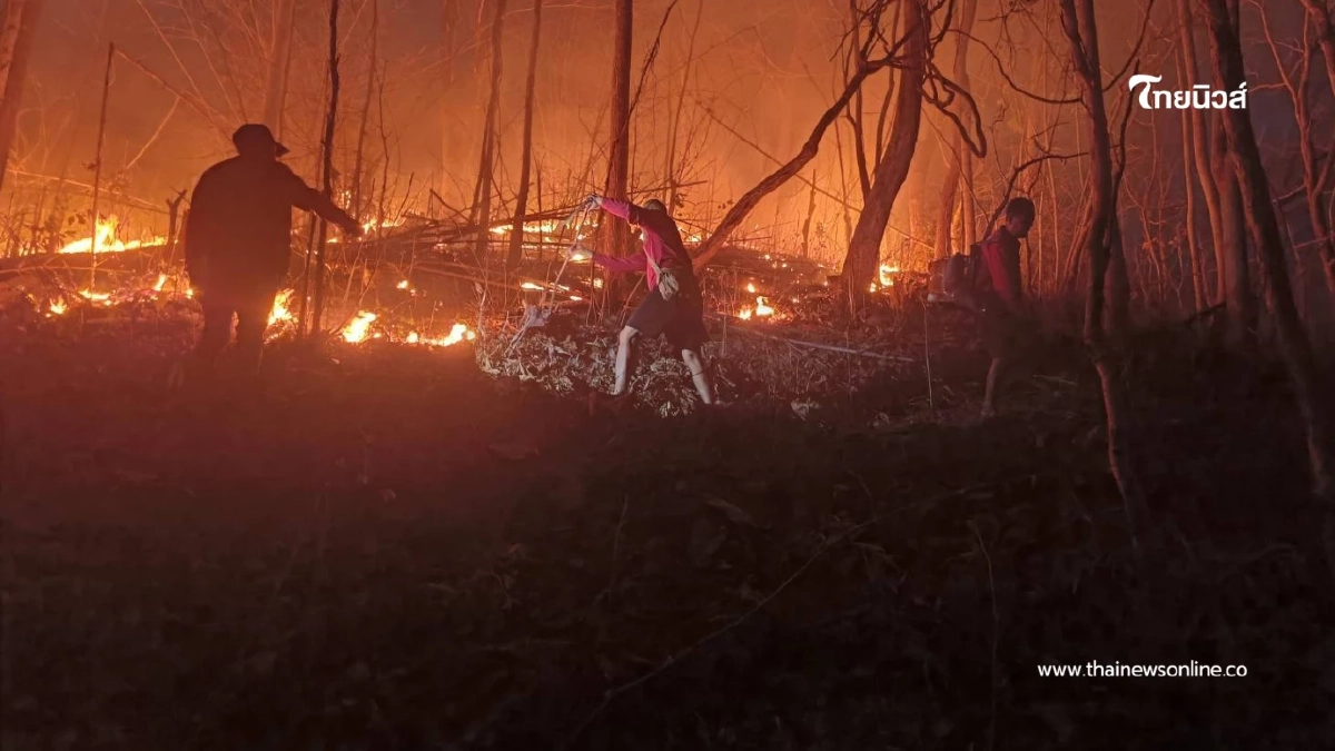 แม่ฮ่องสอนวิกฤต ไฟป่าพุ่ง 610 จุด ค่ามลพิษพุ่งแตะ 1,357 AQI
