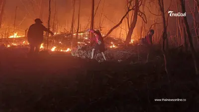 แม่ฮ่องสอนวิกฤต ไฟป่าพุ่ง 610 จุด ค่ามลพิษพุ่งแตะ 1,357 AQI แม่ฮ่องสอนวิกฤต ไฟป่าพุ่ง 610 จุด ค่ามลพิษพุ่งแตะ 1,357 AQI
