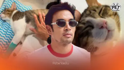 ส่งใจช่วย "น้องไข่ตุ๋น" แมวเกรท วรินทร ป่วยลิวคีเมียและมะเร็ง