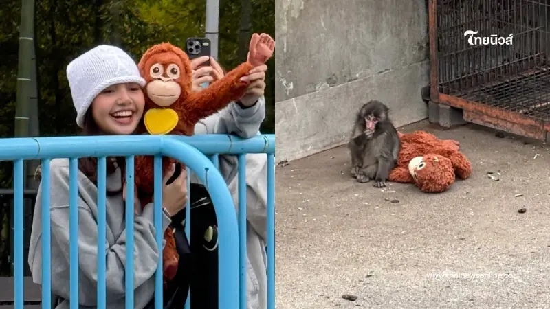 โมเมนต์อบอุ่น “ลิซ่า” เช็กอินสวนสัตว์  ให้กำลังใจ “พันซ์คุง”