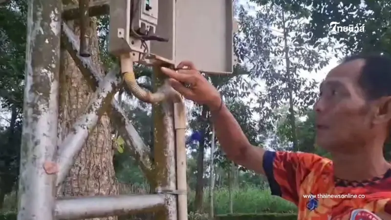 โค้ชบอลโวยโจรตัดสายไฟชุมชนในยางมืดสนิท เด็กขาดที่ซ้อมกีฬา โค้ชบอลโวยโจรตัดสายไฟชุมชนในยางมืดสนิท เด็กขาดที่ซ้อมกีฬา