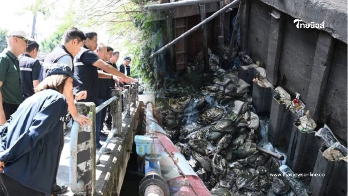 ผู้ว่าฯ ชัชชาติสั่งลุย เร่งเขื่อนบางนาแก้ท่วมถาวร พร้อมยกระดับทางเท้าใหม่