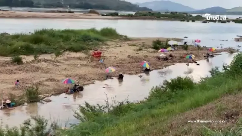 ชาวบ้านปากชมพลิกวิกฤตน้ำโขงลด ร่อนทองสร้างรายได้เสริม