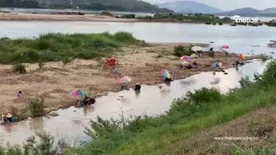 ชาวบ้านปากชมพลิกวิกฤตน้ำโขงลด ร่อนทองสร้างรายได้เสริม