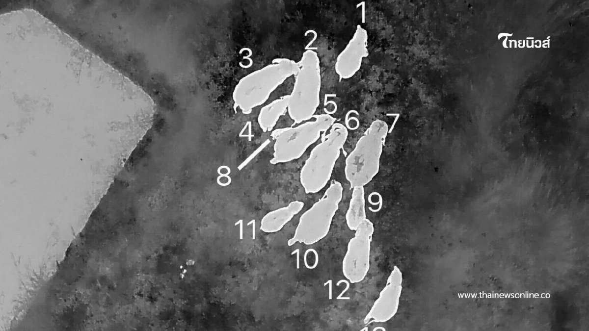 ขสป.บุณฑริกฯ สนธิกำลังใช้โดรนผลักดันโขลงช้างป่า 13 ตัวคืนป่า