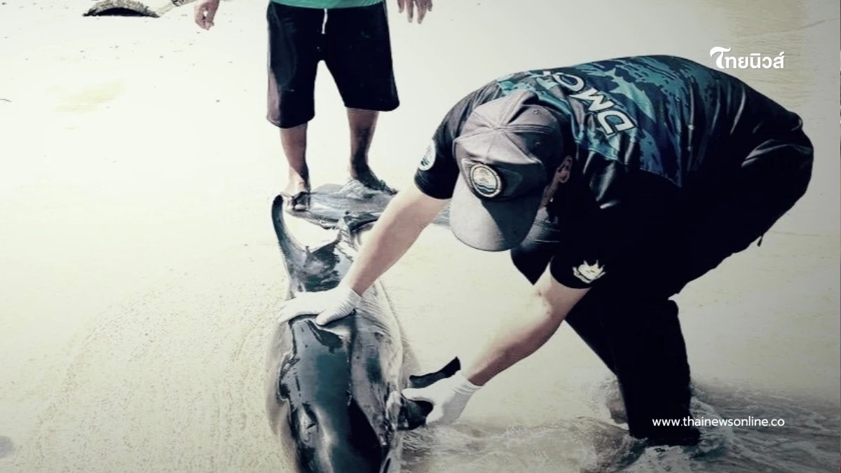 เร่งคลี่ปมสลด ร่างเกยตื้นริมหาด สูญเสียเศร้าอีกครั้ง