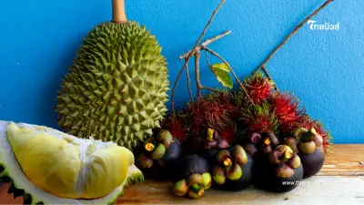 ทุเรียนไทยยืนหนึ่ง ครองตลาดจีน 69% เกษตรฯ รุกส่งออกทางเรือลดต้นทุน