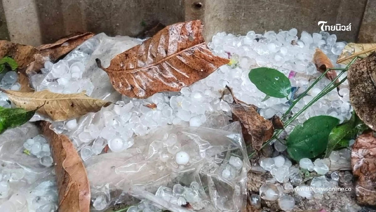 พายุฤดูร้อนถล่มเพชรบูรณ์ ลูกเห็บตกซัดบ้านเสียหาย 66 หลัง