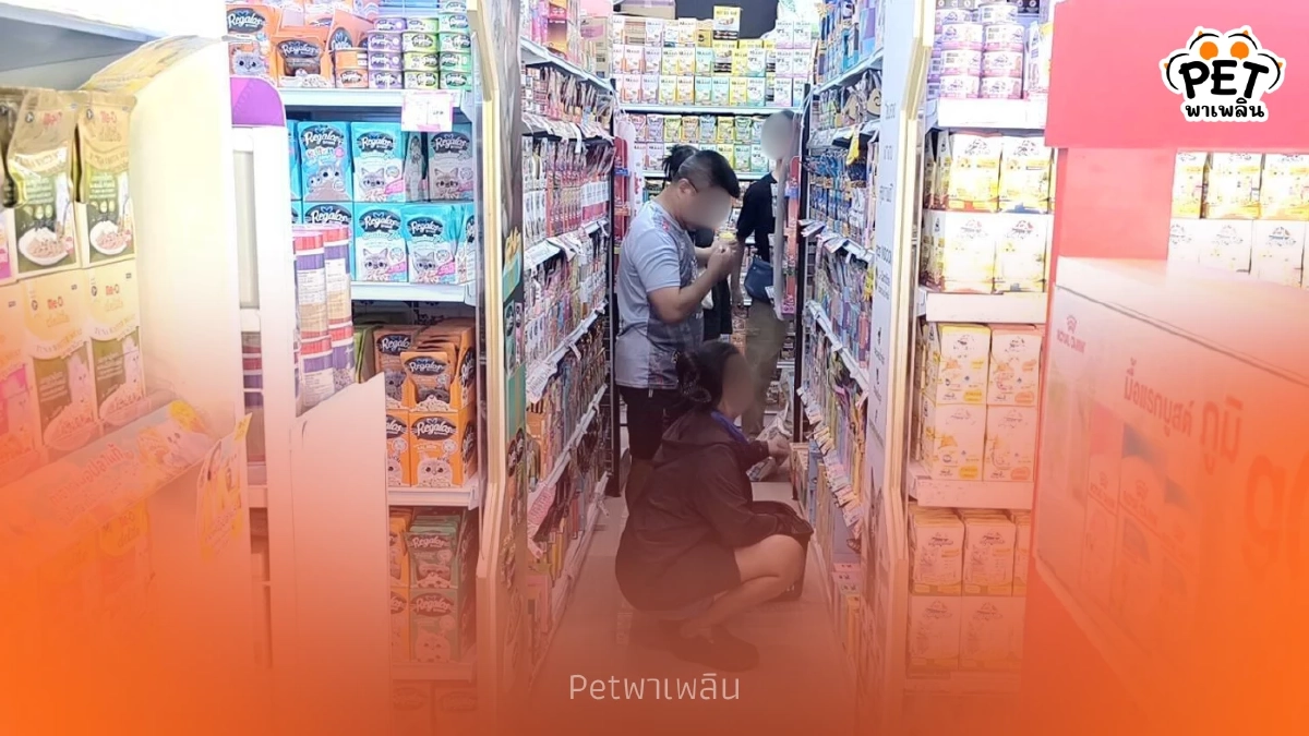 คนเลี้ยงสัตว์พิษณุโลกกักตุนอาหาร หวั่นราคาพุ่งจากค่าน้ำมัน