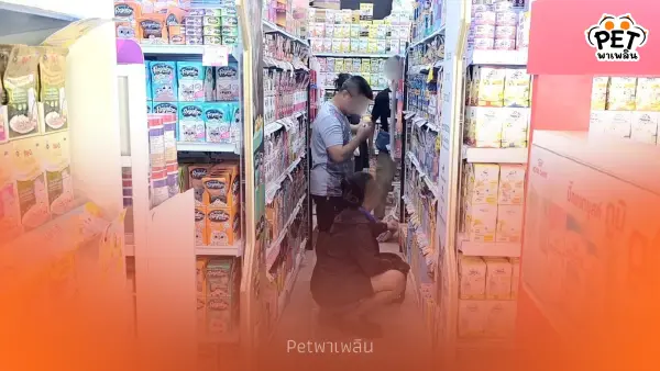 คนเลี้ยงสัตว์พิษณุโลกกักตุนอาหาร หวั่นราคาพุ่งจากค่าน้ำมัน
