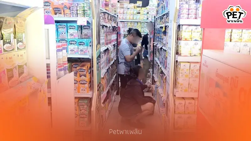 คนเลี้ยงสัตว์พิษณุโลกกักตุนอาหาร หวั่นราคาพุ่งจากค่าน้ำมัน คนเลี้ยงสัตว์พิษณุโลกกักตุนอาหาร หวั่นราคาพุ่งจากค่าน้ำมัน