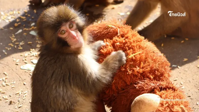 รู้แล้ว "พั้นช์คุง" มีความรู้สึกอย่างไร หลังต้องกอดตุ๊กตาแทนแม่